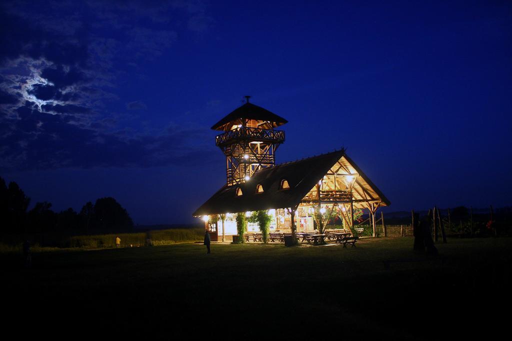 Guest House Zasavica Kültér fotó